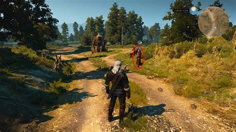 witcher 3 horse race|Witcher 3: All Horse Races at Crow's Perch .